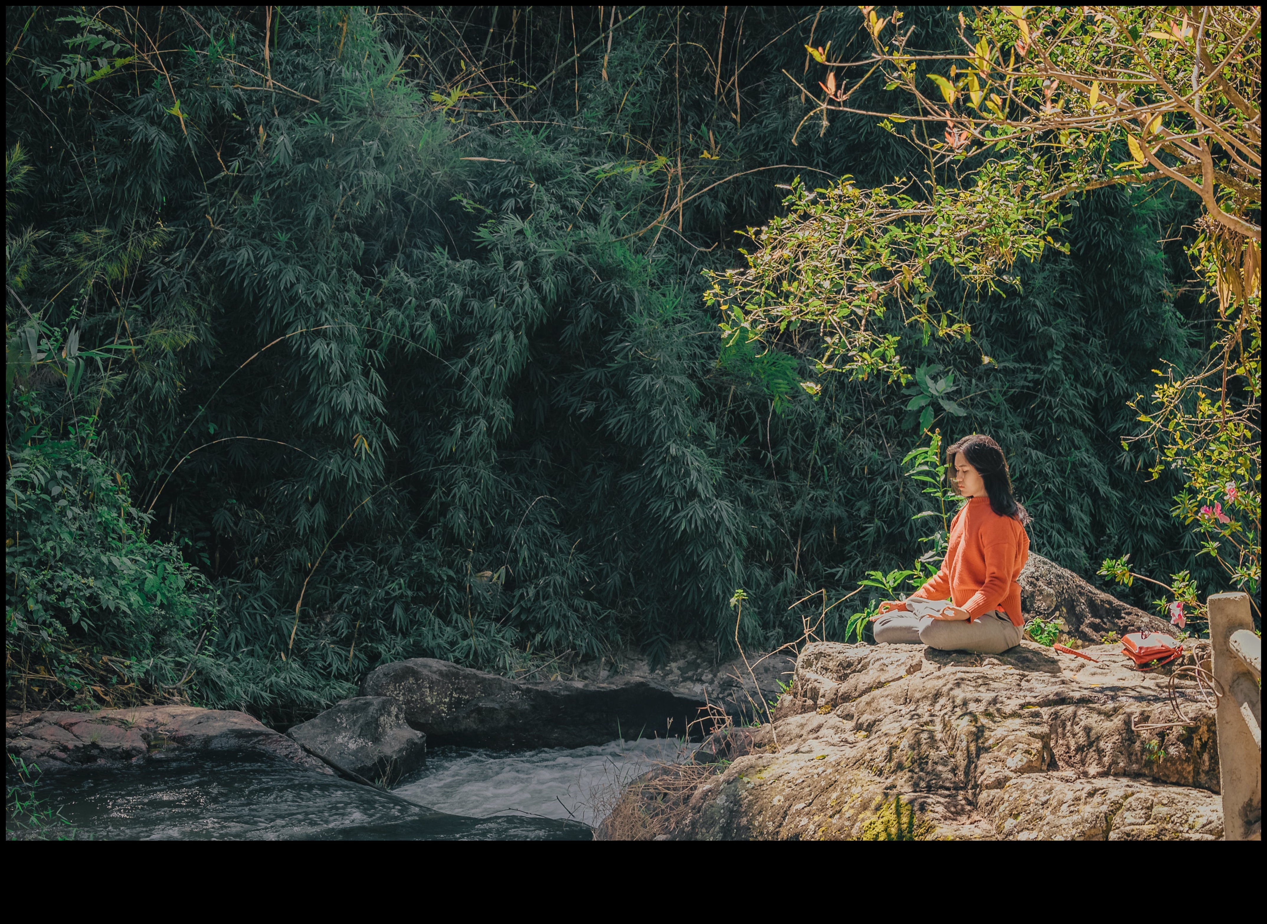 Huzurlu Zihin, Stresten Uzak Yaşam: Meditasyonu benimseyin